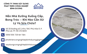 https://xaydungcongnghiepbinhduong.com/nen-nha-xuong-xuong-cap-bong-troc/